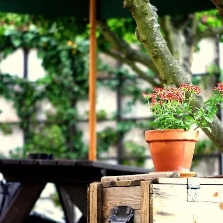 Havana Hostel *